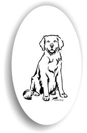 Produktbild von Amberdog Golden Retriever Sticker
