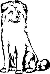 Produktbild von Amberdog Grafiklizenz Pyrenäen-Schäferhund Berger des Pyrénées