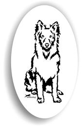 Produktbild von Amberdog Groenendael Sticker
