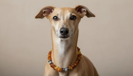 Produktbild von Amberdog Halsband für Hunde aus Naturmaterial mit Bernstein Achat und Hämatit 22cm