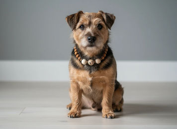 Produktbild von Amberdog Halsband Woody aus Holz 25-35cm