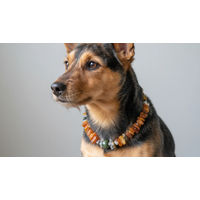 Produktbild von Amberdog Halskette für Hunde aus Bernstein mit Bergkristall und Tigerauge 31cm
