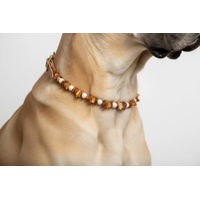 Produktbild von Amberdog Hunde Bernsteinkette Woody-Flex mit Naturbernstein und Swari-Glasperlen 40-45cm