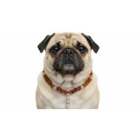 Produktbild von Amberdog Hundehalsband aus Bernstein und Rosenquarz in Braun und Rosa 47cm