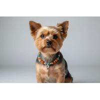 Produktbild von Amberdog Hundehalsband aus Naturmaterial mit Bernstein, Jade und Bergkristall in Braun, Gelb und Bunt, 27cm