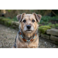 Produktbild von Amberdog Hundehalsband Bernsteinkette mit Amazonit und Swarovski in Braun und Gelb 37cm