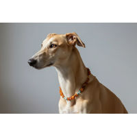 Produktbild von Amberdog Hundehalskette aus Naturmaterial mit Bernstein, Bergkristall und Howlith 36cm
