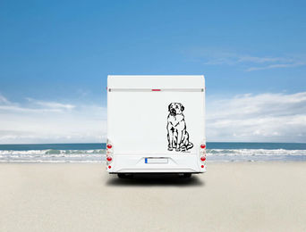 Produktbild von Amberdog Kangal Wandtattoo Aufkleber für Auto und Wohnmobil Schwarz 20cm