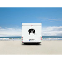 Produktbild von Amberdog Kooikerhondje Wandtattoo Aufkleber für Auto und Wohnmobil Schwarz 50cm