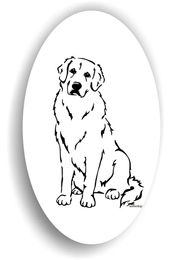 Produktbild von Amberdog Kuvasz Sticker