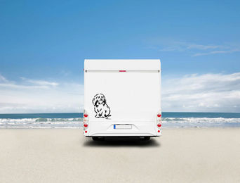 Produktbild von Amberdog Löwchen Wandtattoo für Auto und Wohnmobil Schwarz 50cm