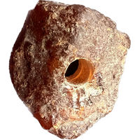 Produktbild von Amberdog Natur Bernstein Amulett mit Echtheitszertifikat