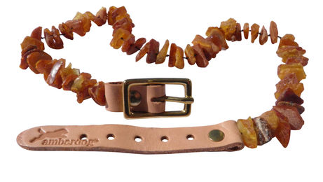Produktbild von Amberdog Naturbernstein Halsband für Hunde in Braun 28-33cm