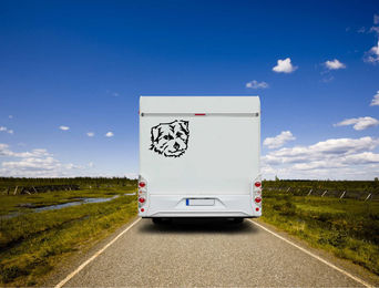 Produktbild von Amberdog Norfolk Terrier Wandtattoo Aufkleber für Auto und Wohnmobil Schwarz 20cm