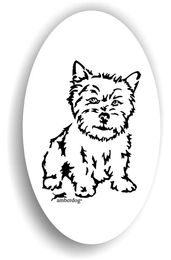 Produktbild von Amberdog Norwich Terrier Sticker