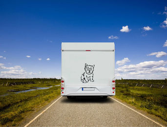 Produktbild von Amberdog Norwich Terrier Wandtattoo Aufkleber für Auto und Wohnmobil Schwarz 20cm