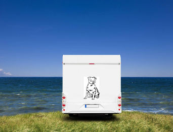 Produktbild von Amberdog Pitbull Wandtattoo Aufkleber für Auto und Wohnmobil Weiß 50cm