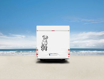 Produktbild von Amberdog Rhodesian Ridgeback Wandtattoo Auto Wohnmobil Aufkleber Schwarz 50cm