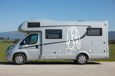 Produktbild von Amberdog Wandtattoo Afghane Kopf Wohnmobil Aufkleber Weiß 50cm
