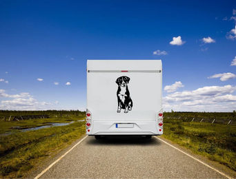 Produktbild von Amberdog Wandtattoo Appenzeller Sennenhund Aufkleber für Auto und Wohnmobil Weiß 50cm