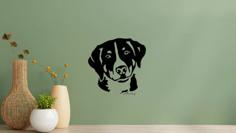 Produktbild von Amberdog Wandtattoo Appenzeller Sennenhund Kopf Aufkleber für Auto und Wohnmobil Weiß 50cm