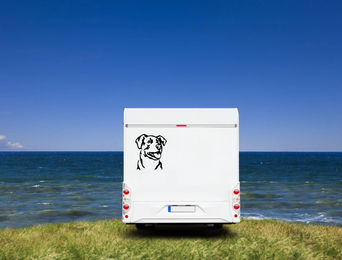 Produktbild von Amberdog Wandtattoo Bardino Kopf Auto Wohnmobil Aufkleber Weiß 30cm