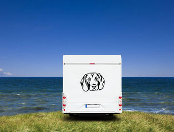 Produktbild von Amberdog Wandtattoo Bayerischer Gebirgsschweißhund Kopf Wohnmobil Aufkleber Weiß 30cm