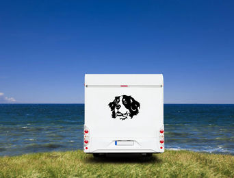 Produktbild von Amberdog Wandtattoo Berner Sennenhund Kopf Wohnmobil Aufkleber Weiß 20cm