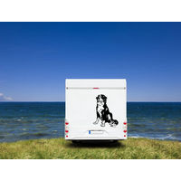Produktbild von Amberdog Wandtattoo Berner Sennenhund Wohnmobil Aufkleber Weiß 20cm