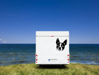 Produktbild von Amberdog Wandtattoo Boston Terrier Kopf Wohnmobil Aufkleber Weiß 20cm