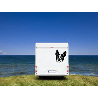 Produktbild von Amberdog Wandtattoo Boston Terrier Kopf Wohnmobil Aufkleber Weiß 20cm