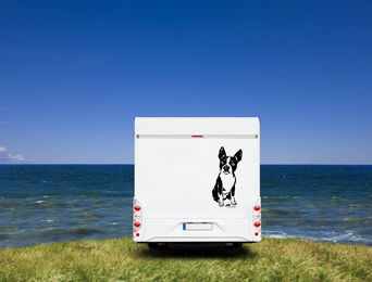 Produktbild von Amberdog Wandtattoo Boston Terrier Wohnmobil Aufkleber Weiß 30cm