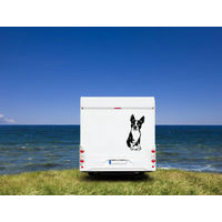 Produktbild von Amberdog Wandtattoo Boston Terrier Wohnmobil Aufkleber Weiß 50cm