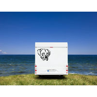 Produktbild von Amberdog Wandtattoo Boxer Kopf Aufkleber für Auto und Wohnmobil Weiß 30cm