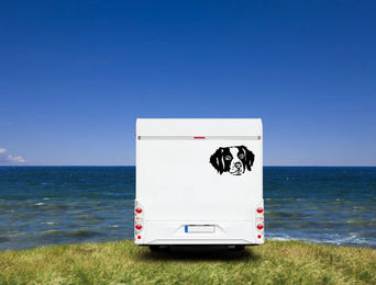 Produktbild von Amberdog Wandtattoo Bretone Kopf Aufkleber für Auto und Wohnmobil Schwarz 30cm