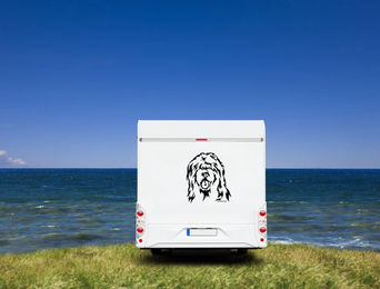 Produktbild von Amberdog Wandtattoo Briard Kopf Wohnmobil Aufkleber Weiß 50cm