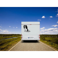 Produktbild von Amberdog Wandtattoo Cavalier King Charles Spaniel Wohnmobil Aufkleber Weiß 50cm