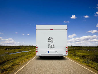 Produktbild von Amberdog Wandtattoo Chow Chow Kurzhaar Wohnmobil Aufkleber Weiß 20cm