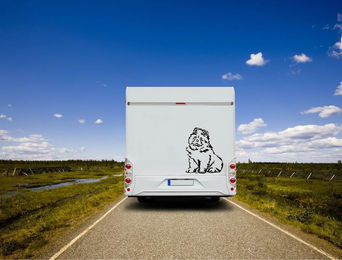 Produktbild von Amberdog Wandtattoo Chow Chow Langhaar Wohnmobil Aufkleber Weiß 30cm