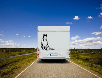 Produktbild von Amberdog Wandtattoo Collie Auto Wohnmobil Aufkleber Weiß H30cm