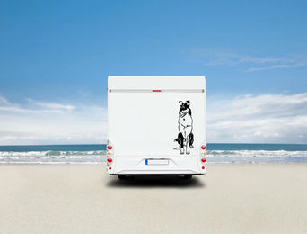Produktbild von Amberdog Wandtattoo Collie Kurzhaar Schwarz 50cm Auto Wohnmobil Aufkleber