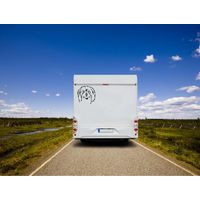 Produktbild von Amberdog Wandtattoo Coton de Tulear Aufkleber für Auto und Wohnmobil Schwarz 50cm