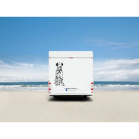 Produktbild von Amberdog Wandtattoo Dalmatiner Aufkleber für Auto und Wohnmobil Weiß 30cm