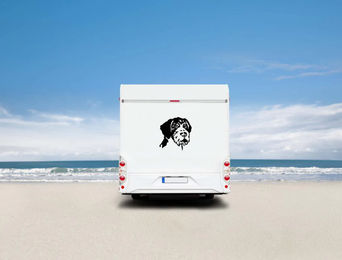 Produktbild von Amberdog Wandtattoo Deutsch Drahthaar Kopf Aufkleber für Wohnmobil Schwarz 50cm