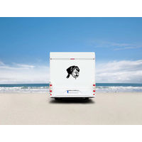 Produktbild von Amberdog Wandtattoo Deutsch Drahthaar Kopf Aufkleber für Wohnmobil Weiß 30cm