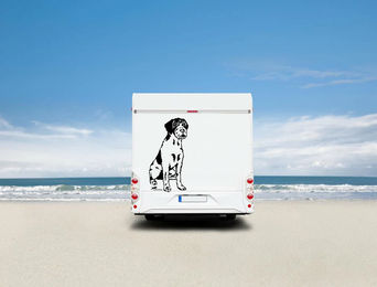 Produktbild von Amberdog Wandtattoo Deutsch Drahthaar Wohnmobil Aufkleber Weiß 50cm