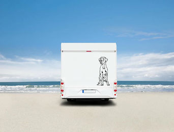 Produktbild von Amberdog Wandtattoo Deutsche Dogge Aufkleber für Auto und Wohnmobil Weiß H30cm