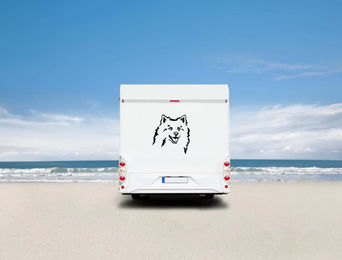 Produktbild von Amberdog Wandtattoo Deutscher Spitz Kopf Wohnmobil Aufkleber Weiß 30cm
