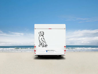 Produktbild von Amberdog Wandtattoo Duck Tolling Retriever Wohnmobil Aufkleber Weiß 20cm