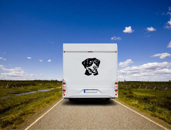 Produktbild von Amberdog Wandtattoo Entlebucher Sennenhund Kopf Wohnmobil Aufkleber Schwarz 50cm